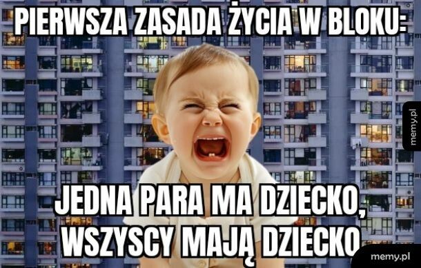 Pierwsza zasada