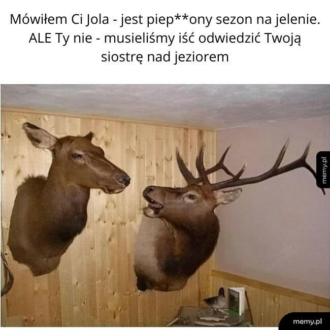 Mówiłem Ci Jola