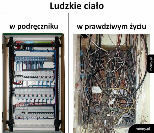 Ludzkie ciało