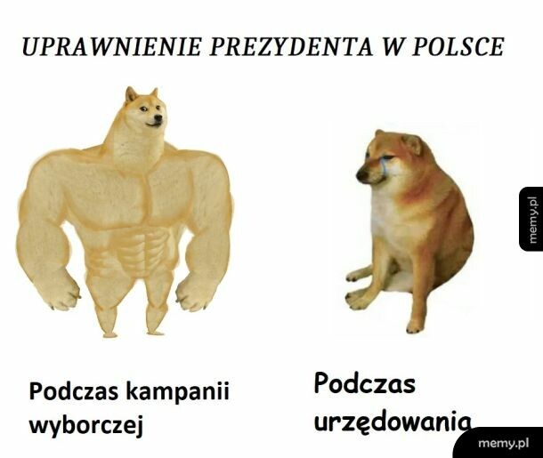 Władza prezydencka