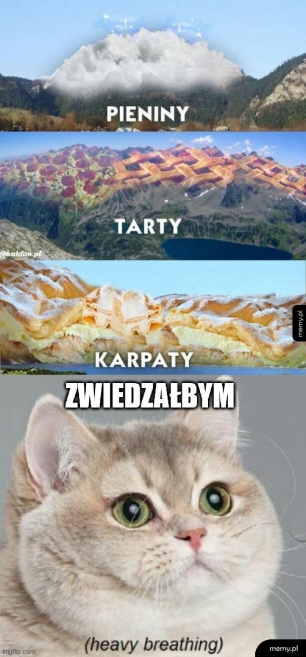 Miał