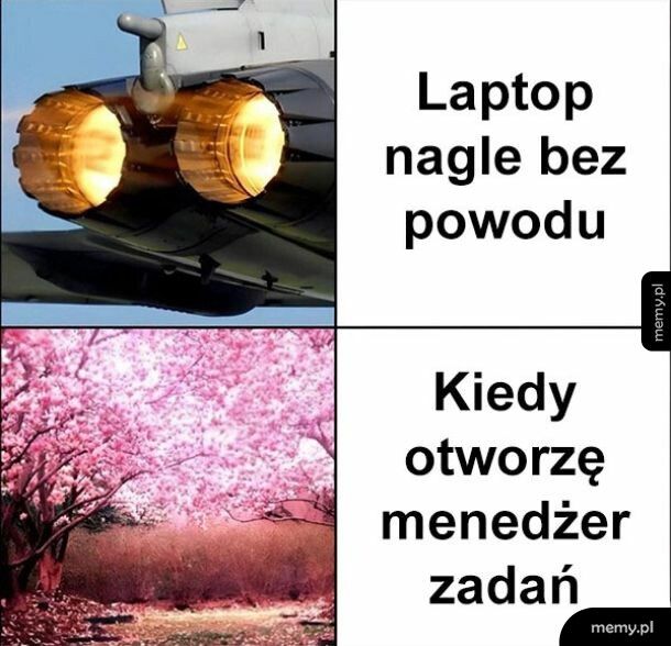 Nic tu się nie dzieje