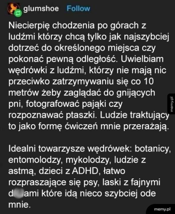 Ja po górach chodzę po to, żeby podziwiać