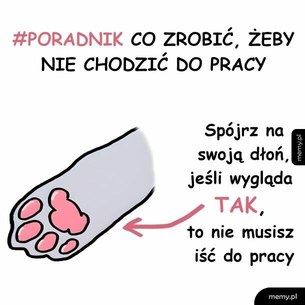 Poradnik