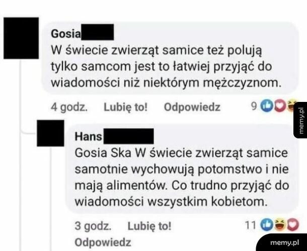 Świat zwierząt