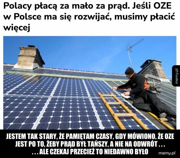 Zielony szajs