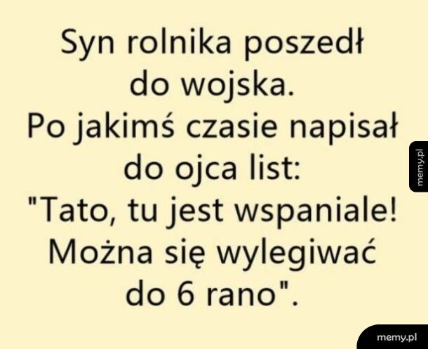 Wojsko