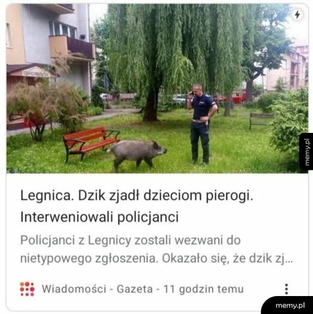 Tylko dla ludzi o mocnych nerwach