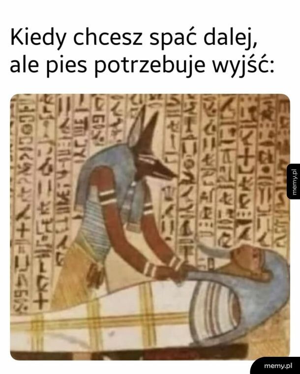 On nie wytrzyma tych "5 min drzemki"