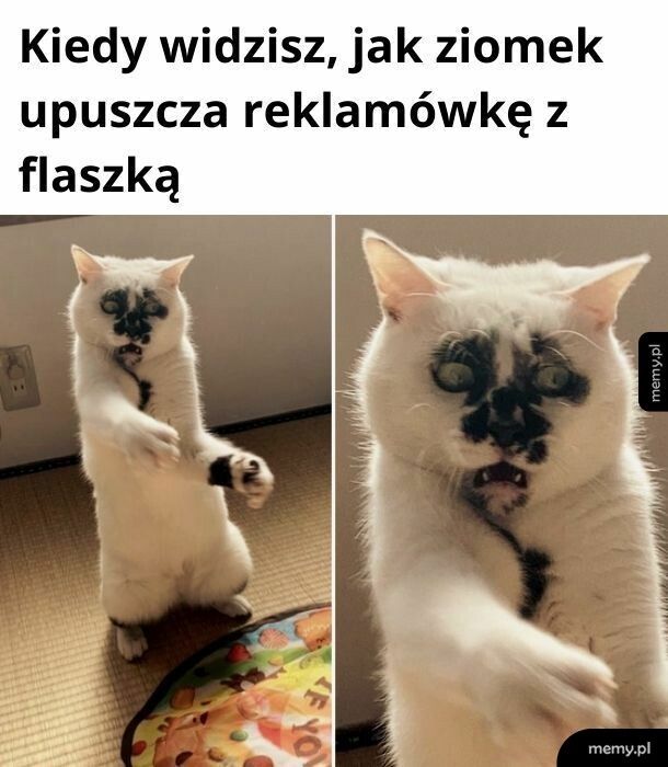 Flaszka