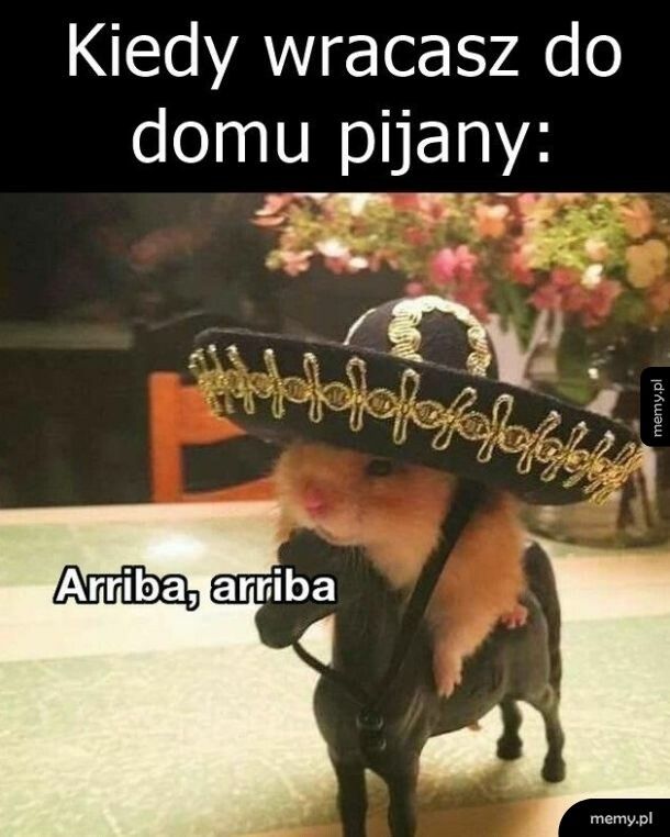 Pijany   xd