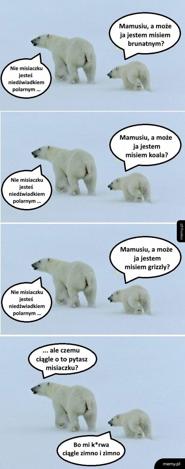 Niedżwiadek