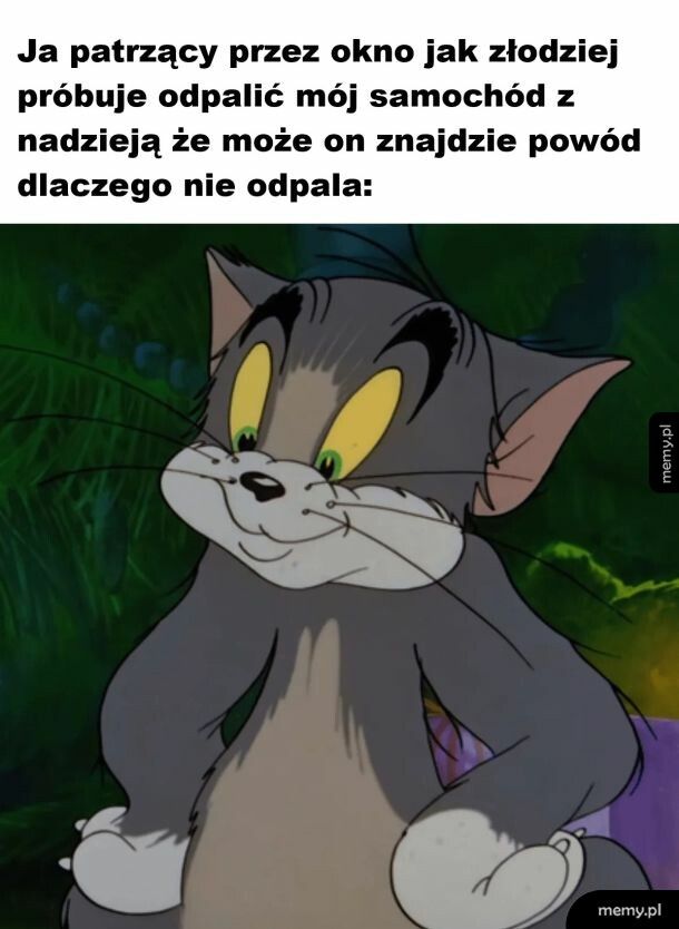 Jestem ciekawy