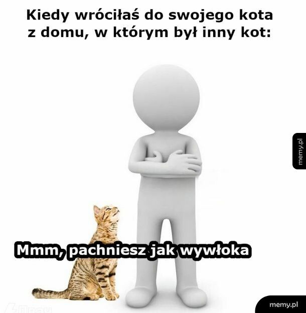 Zdrajca