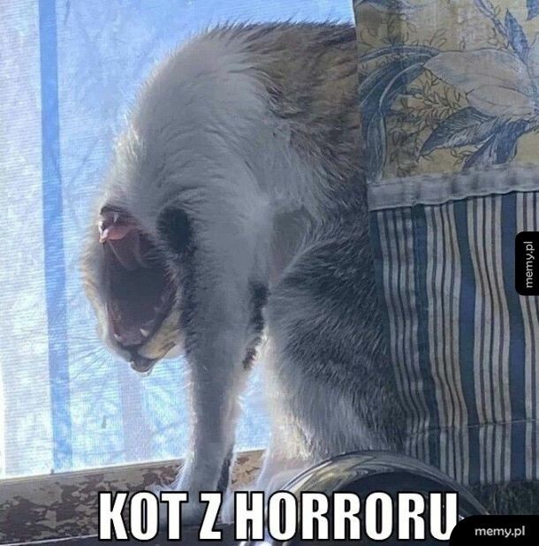 Miał
