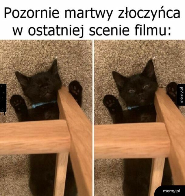 Film