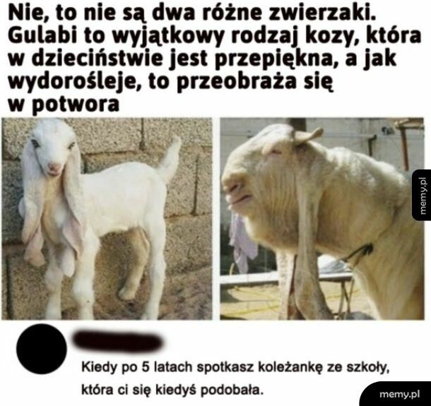 Czas wszystko zmienia