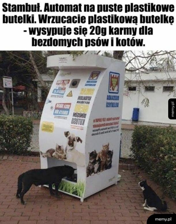Zacna inicjatywa