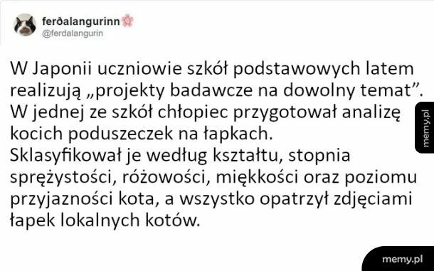 Ciekawy projekt