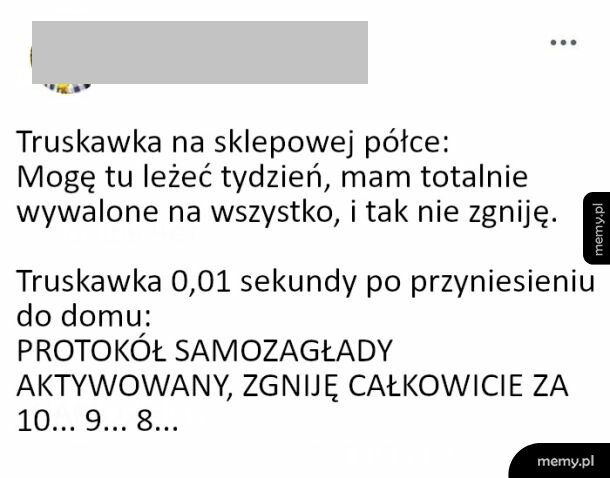Samozagłada