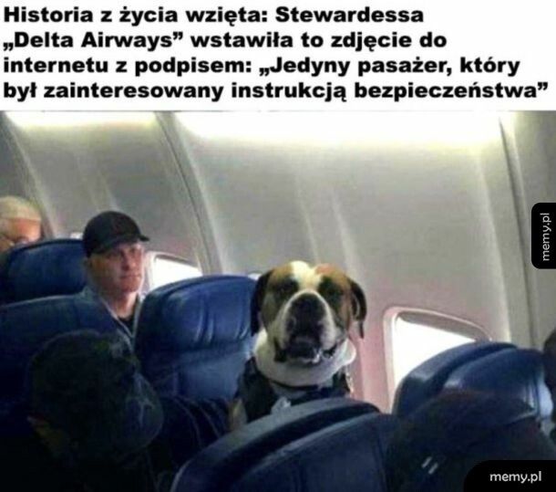 Jedyny zainteresowany