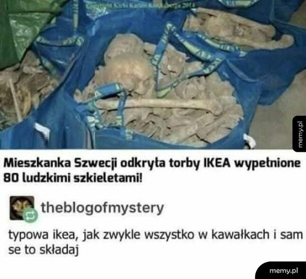 Człowiek zip