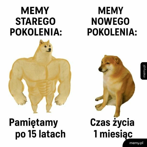 Tak właśnie jest