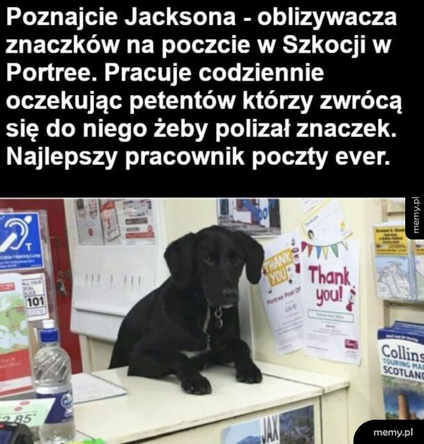 Cute pracownik
