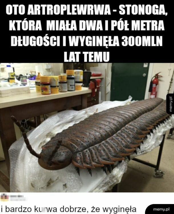 Ale bydlak