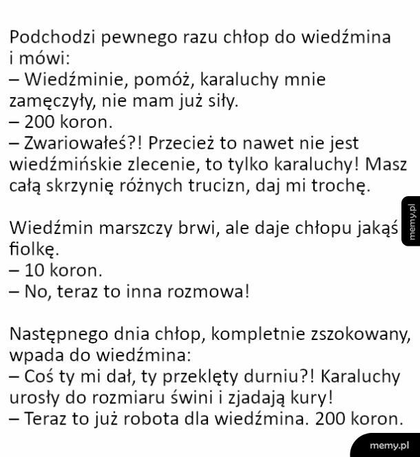 Robota dla wiedzmina