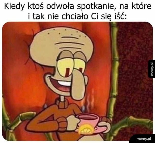 #rajintrowertyka