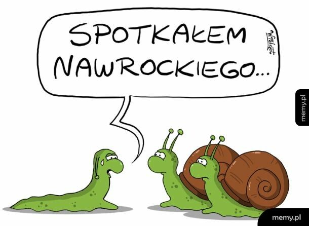 Domek