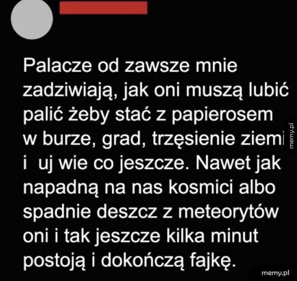 Zawsze jestem pod wrażeniem