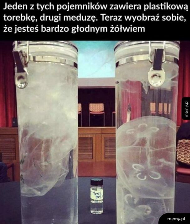 Człowiek to szkodnik