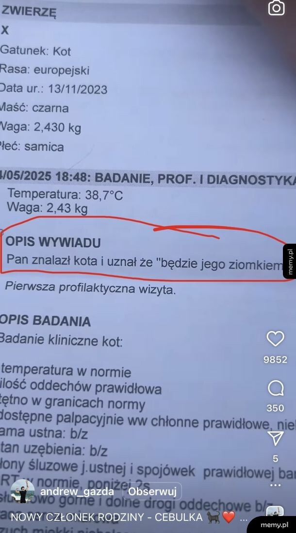Dobry ziomek znalazł kotka i zaadoptował