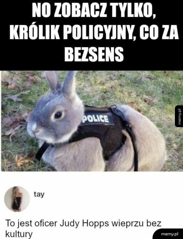 Królik policyjny