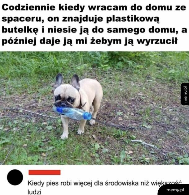 On mnie bardziej skłania do dbania o środowisko