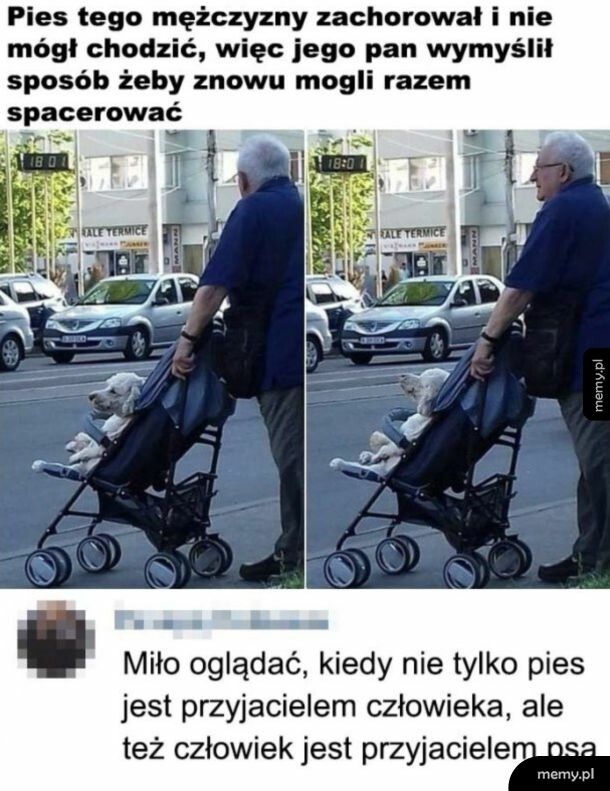 Miły widok