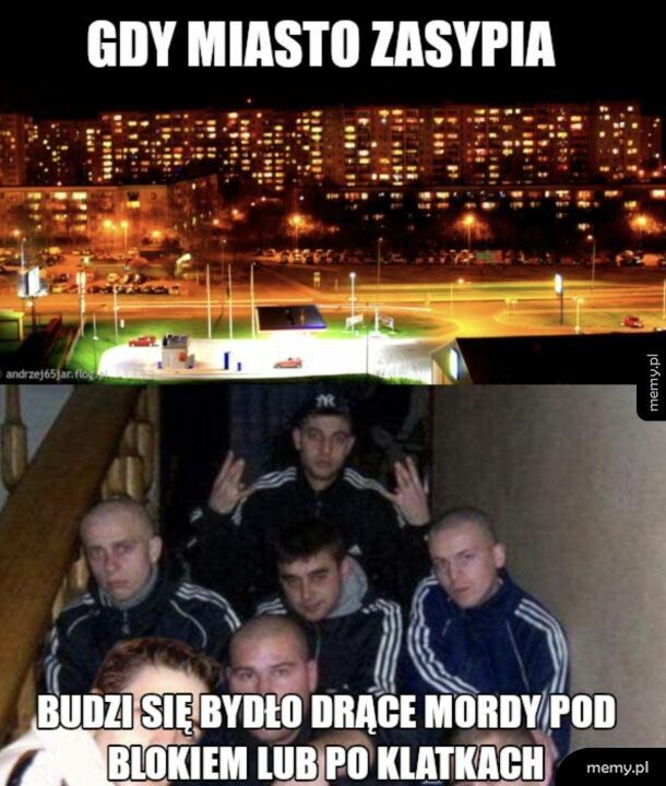 Patusy