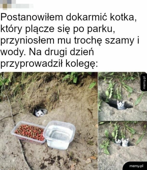 Ziomki