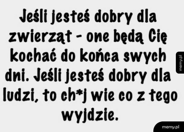 Zwierzęta vs ludzie