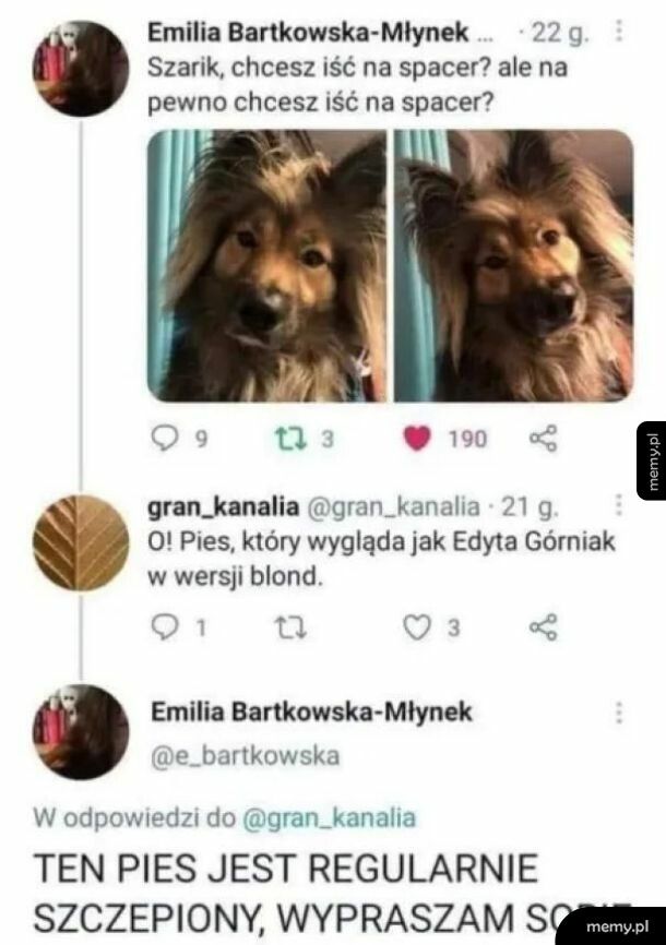 Edytka