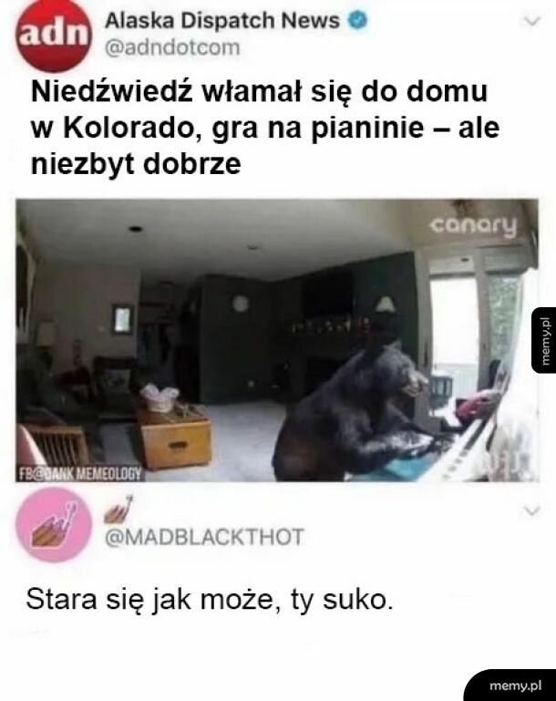 Nie ciśnij misia