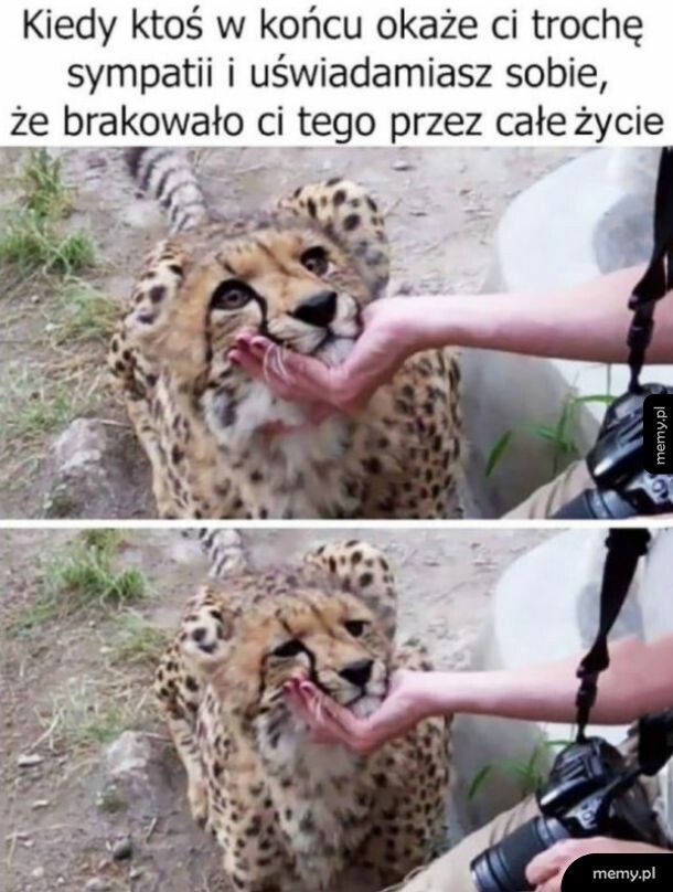 Większości tego brakuje