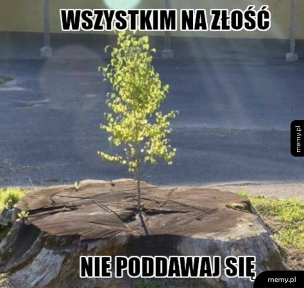 Nie poddawaj się