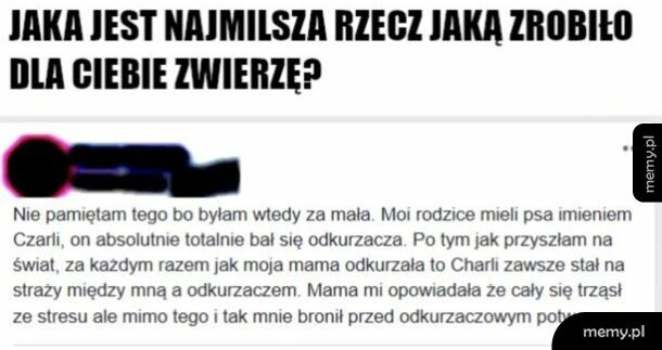 Pies obrońca