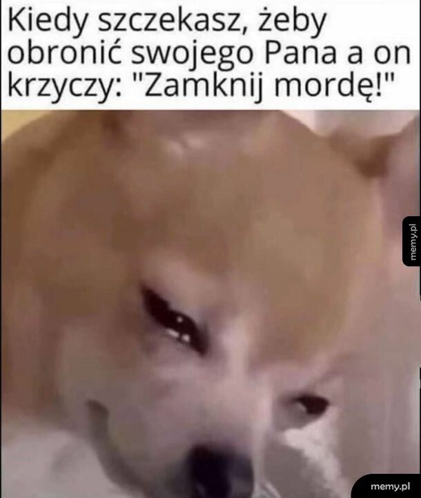 Niedobry pańcio