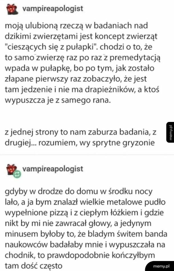 Normalka