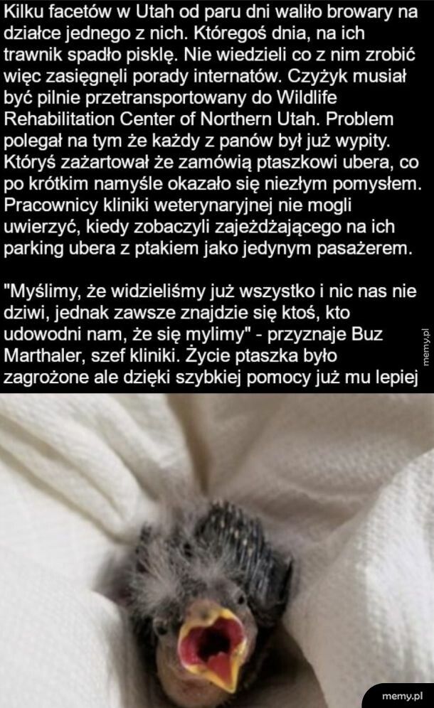 Ciekawy pasażer