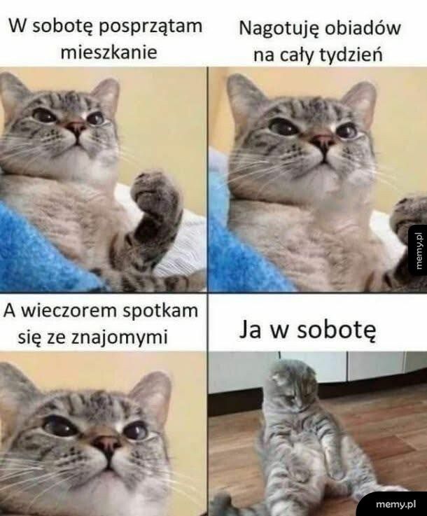 Plany, plany i po planach